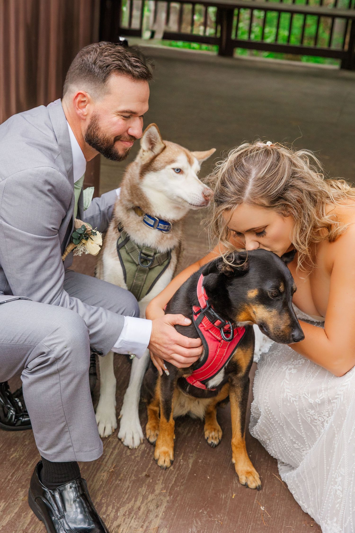 A person in a grey suit and person in a wedding dress kneel on wooden deck with their two dogs in harnesses.