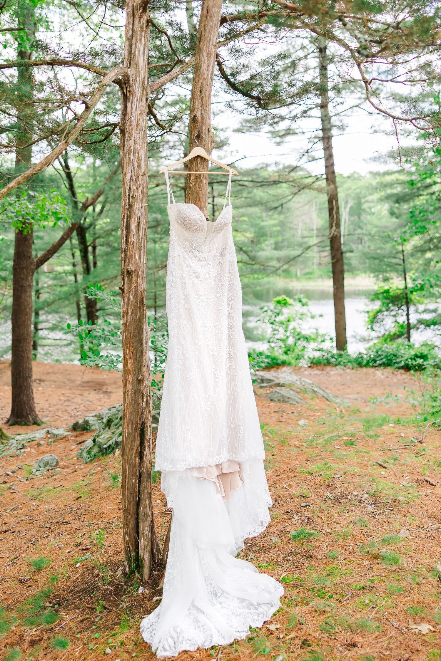 A baseball and leather glove rest on a wooden tree stump in a lush green forest setting.