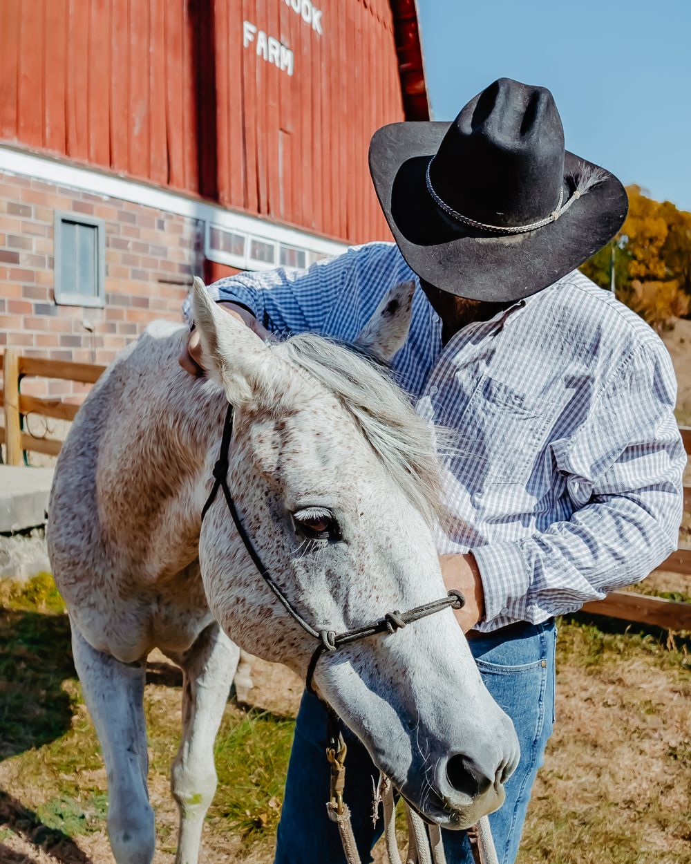 A cowboy wearing a checkered shirt and black hat gently pets a gray horse beside a rustic red barn structure.