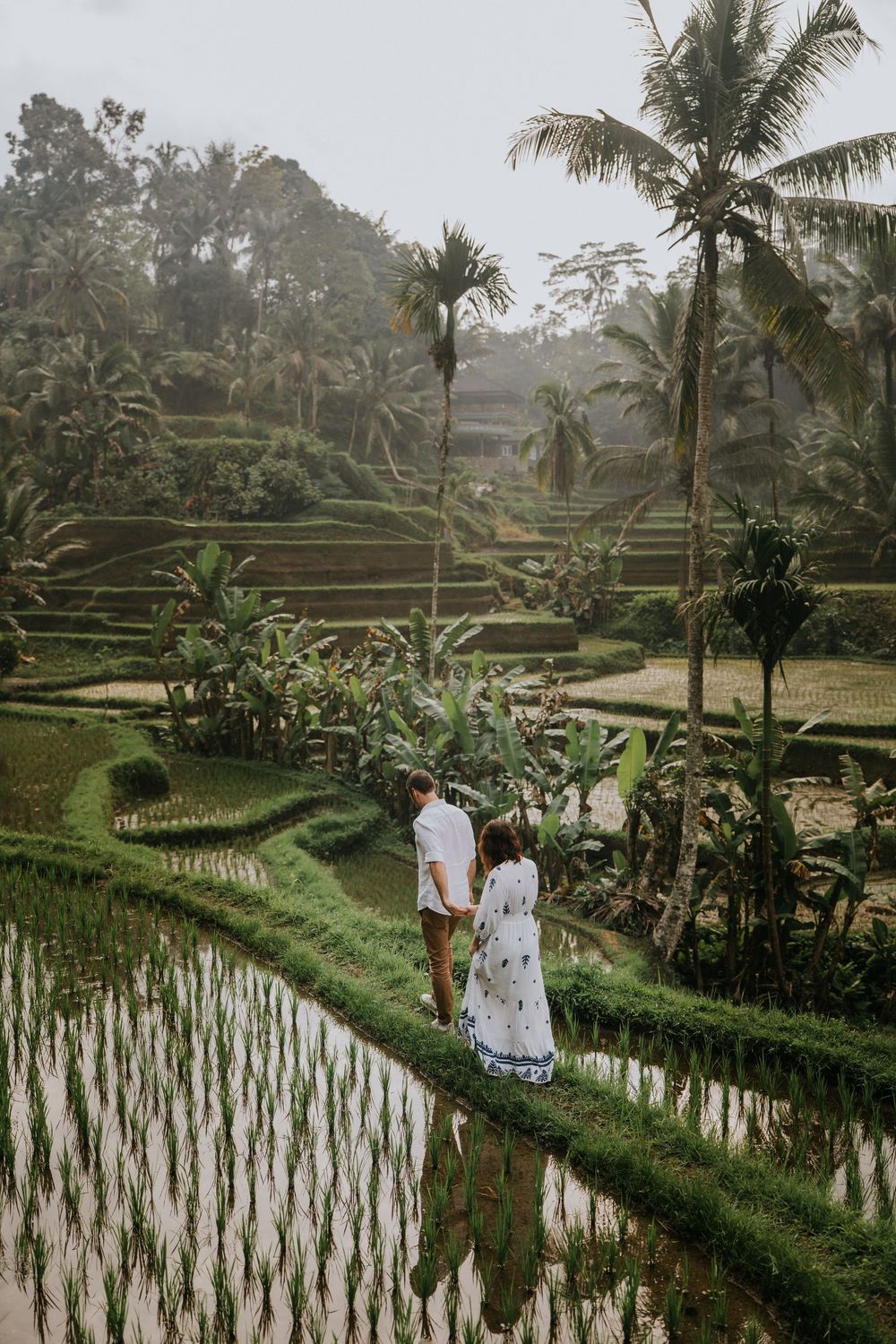 Bali couple photography session at Ceking Rice Terrace Tegallalang Ubud.