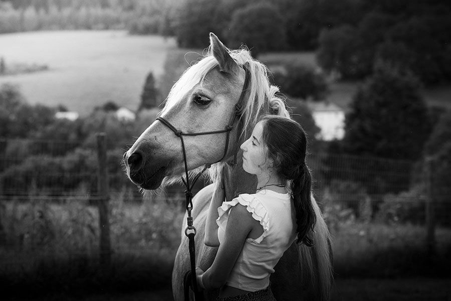 Black and white photo series of horses in profile against a blurred background.