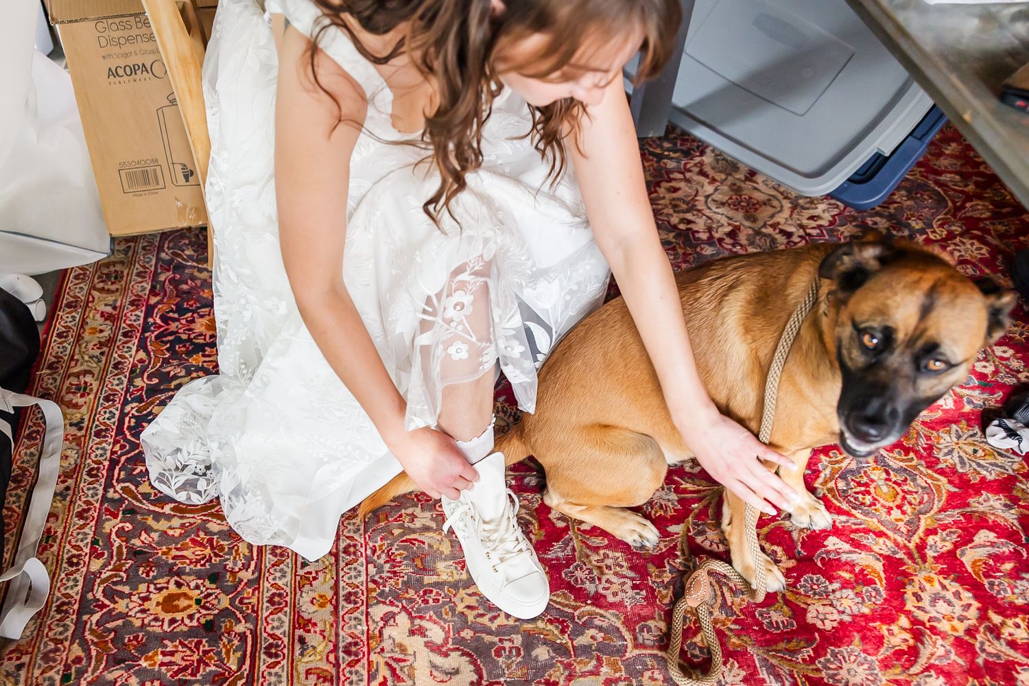 A brown dog rests on an ornate red Persian rug next to someone wearing a white lace dress and sneakers.