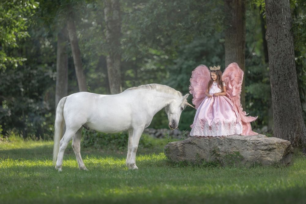 A series of dreamy photos showing a white horse in a garden setting with pink floral elements and natural scenery.