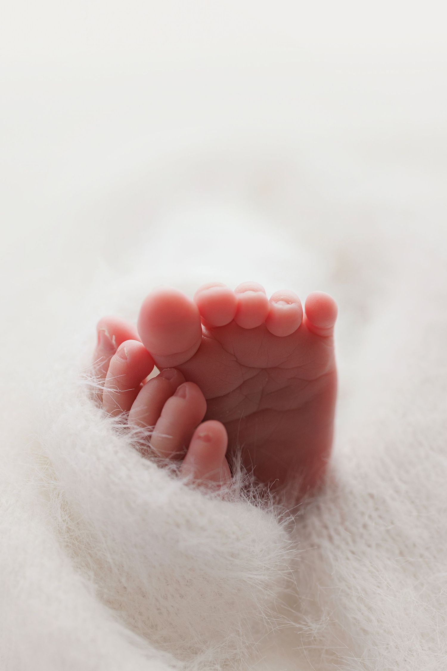 Close-up photo of tiny baby feet resting on soft white blanket.