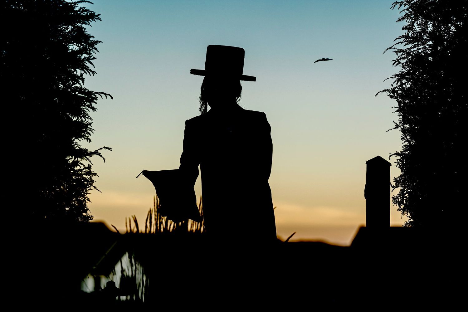 Silhouette of a figure in a wide-brimmed hat standing against a sunset sky with trees framing the scene.