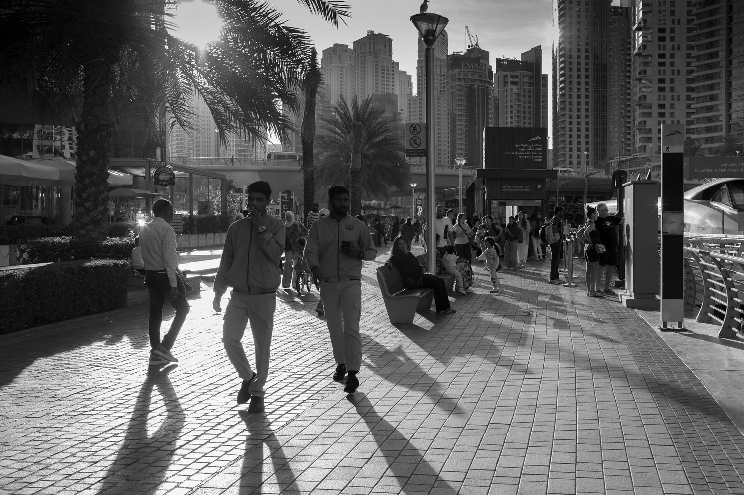 Silhouettes of people walking on a city street with long shadows cast by bright sunlight.