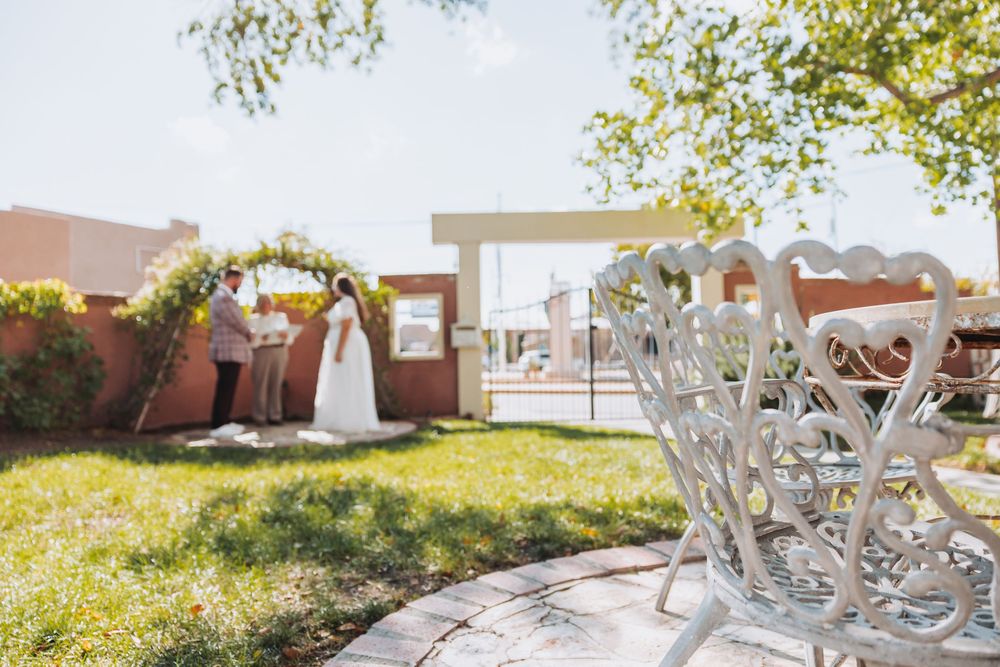 A row of white plastic chairs arranged in a garden setting with trees and buildings in the background.