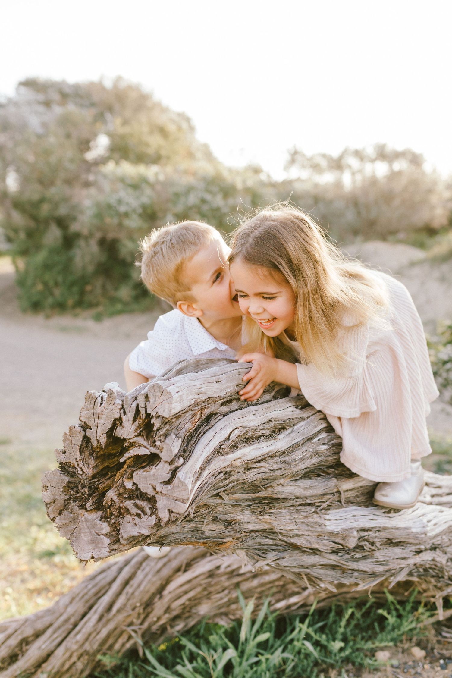 Two people share tender moments while lying on a fallen tree log in a natural outdoor setting during golden hour.