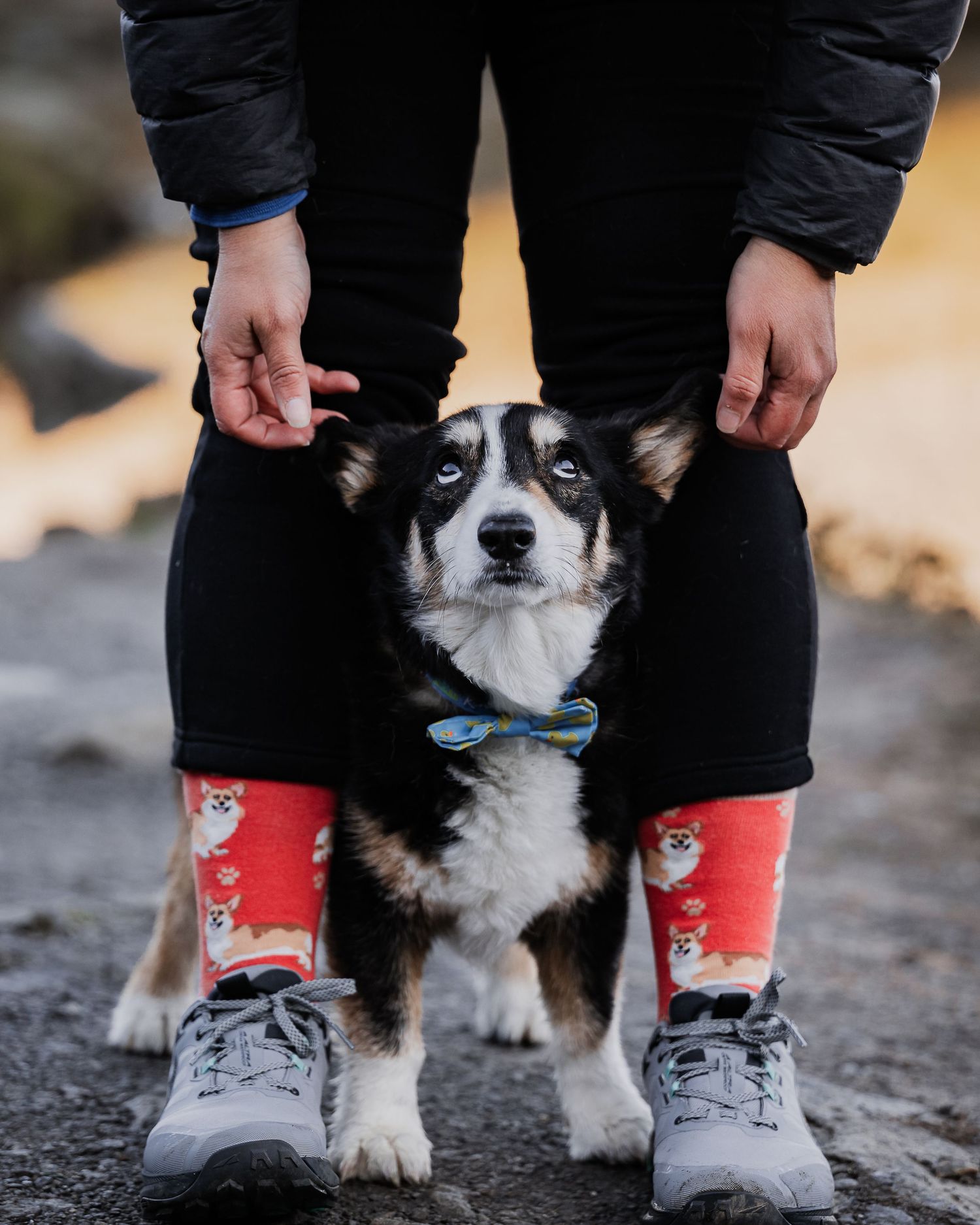 Candid pet portrait showing bond between dog and owner. Tilly Project Photographer.