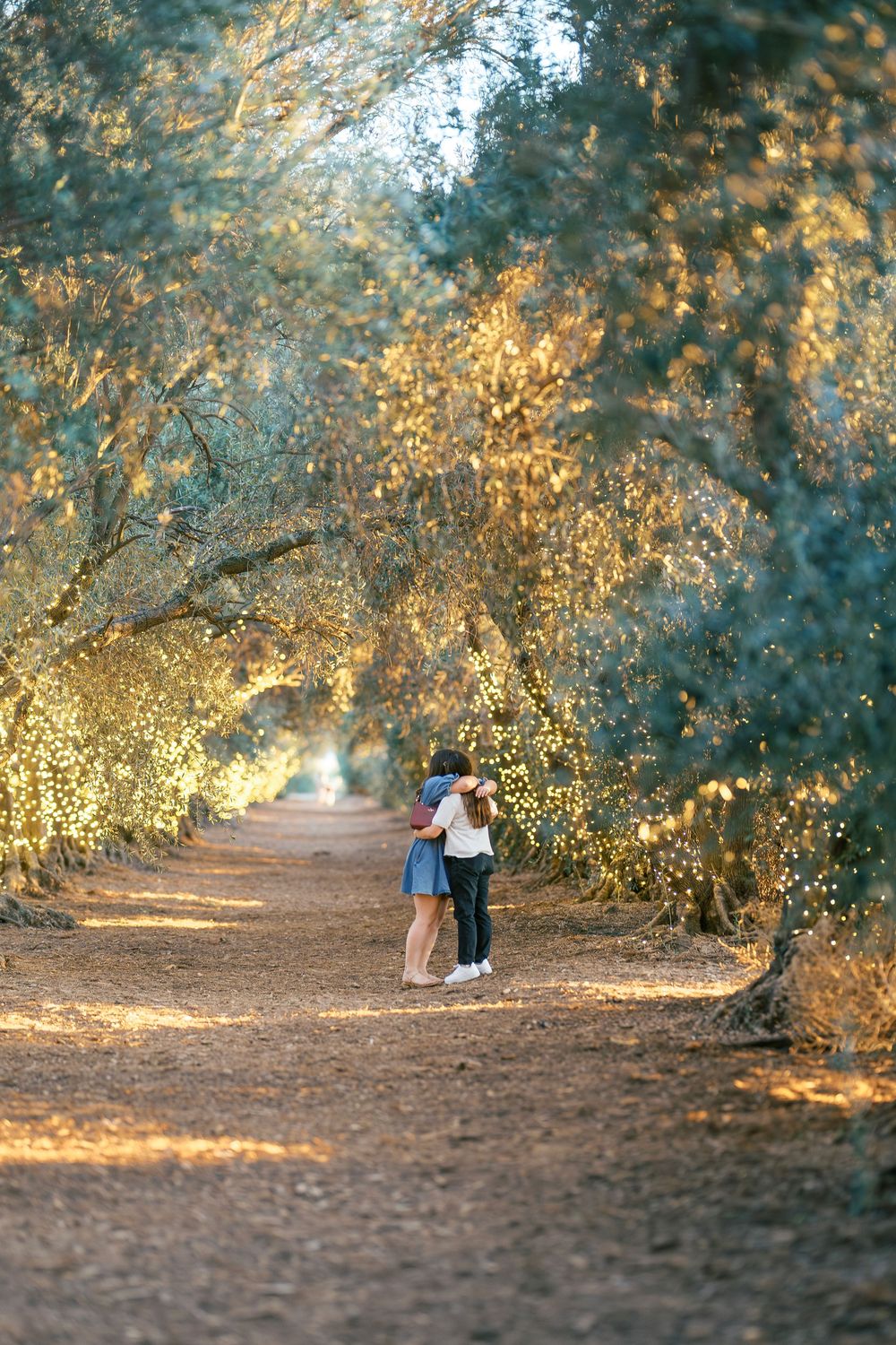 A romantic proposal scene unfolds on a tree-lined path at golden hour with twinkling lights in the background.