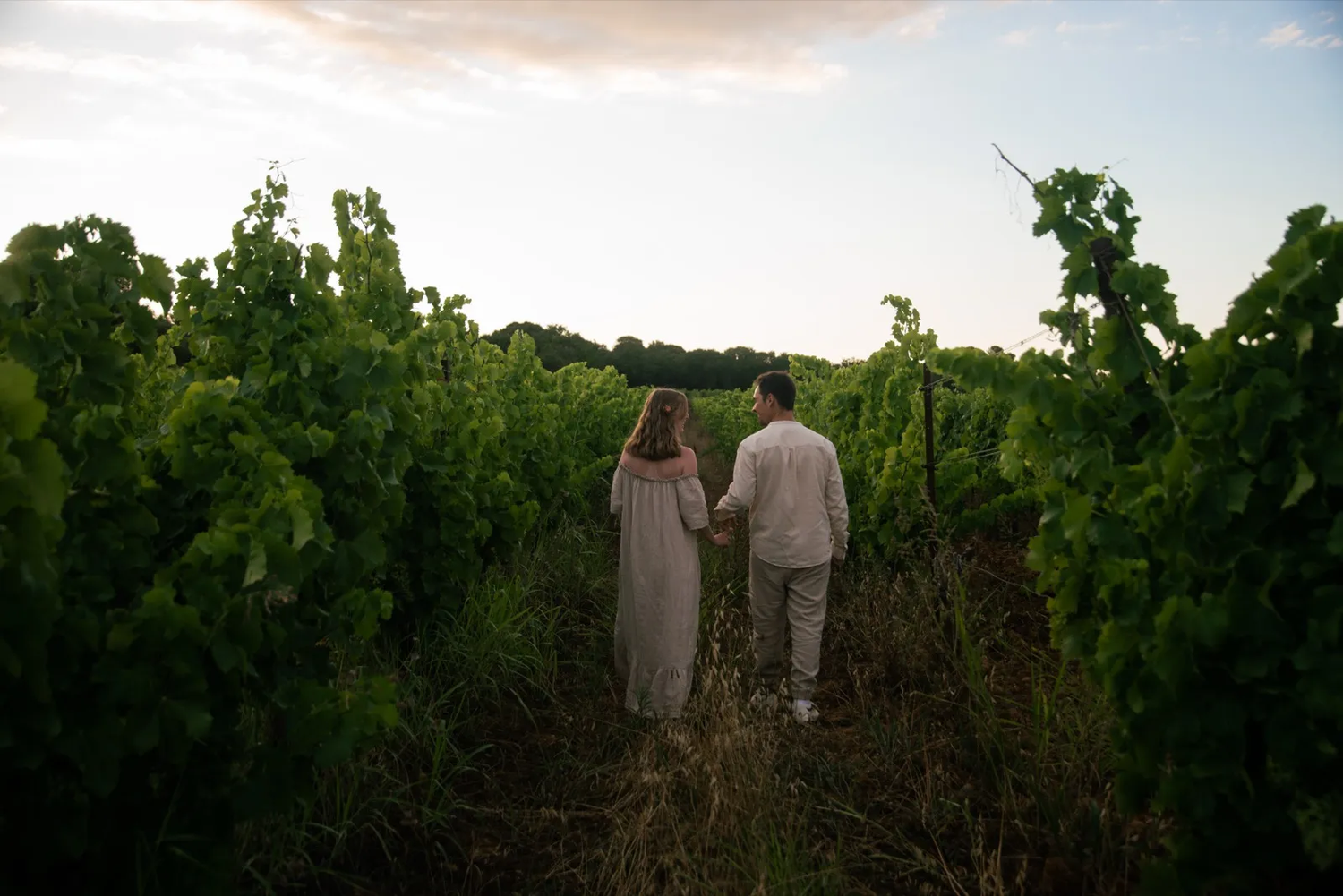 Un couple marche main dans la main au milieu d’un vignoble verdoyant au coucher du soleil, dans une atmosphère romantique.