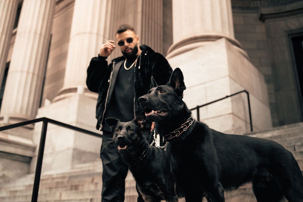 Person in dark clothing stands on stone steps with a black German Shepherd dog. Mtlshutter photography