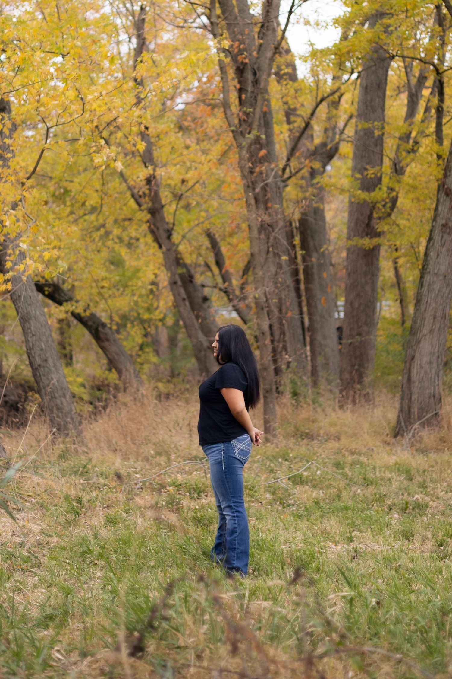 Outdoor fall senior photos in woods and field in Chatham, Illinois