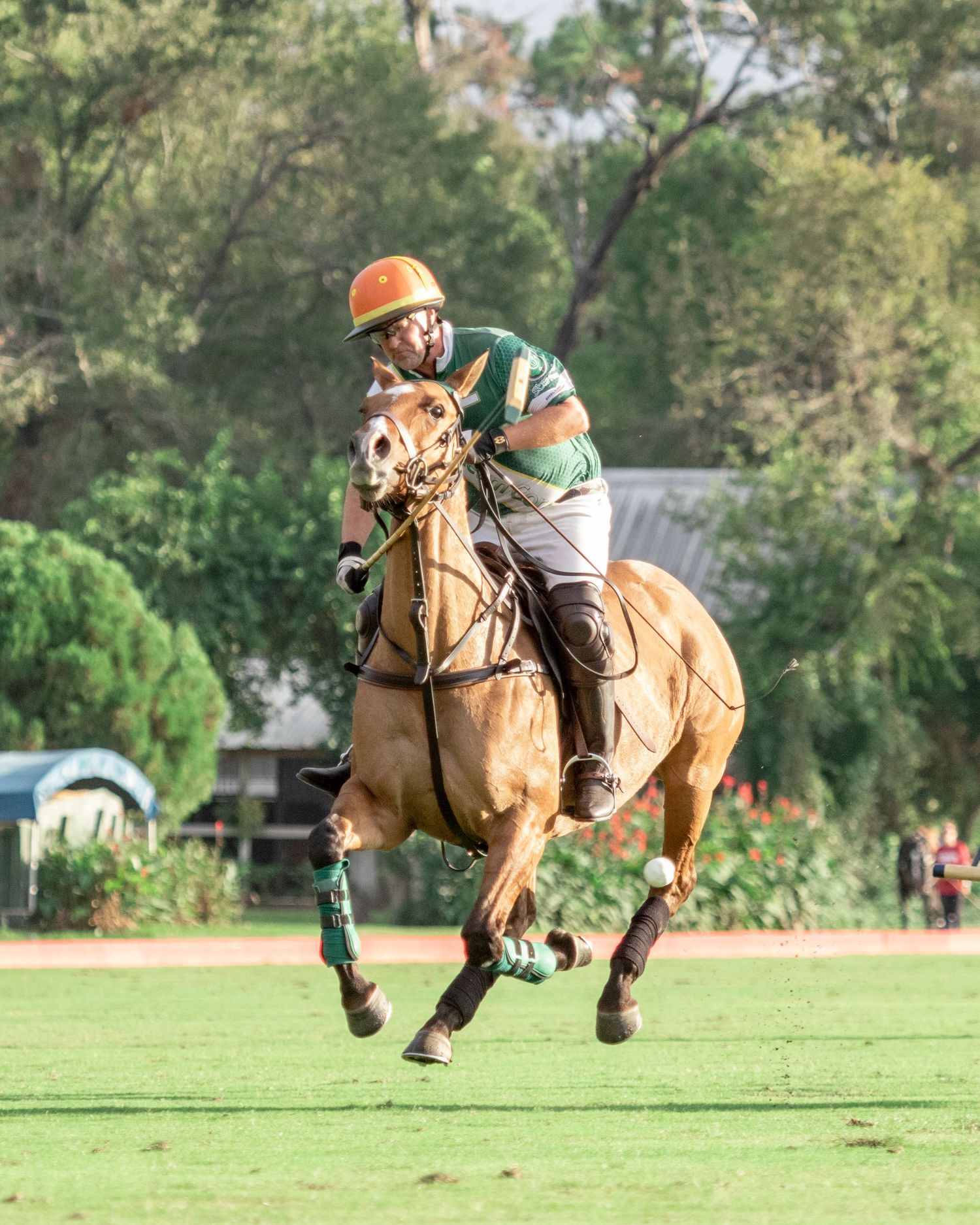 Polo