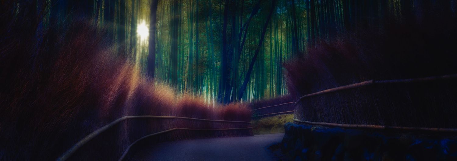 Magical lights illuminate a dark path through a forest with vibrant green and purple hues in the sky in a bamboo grove