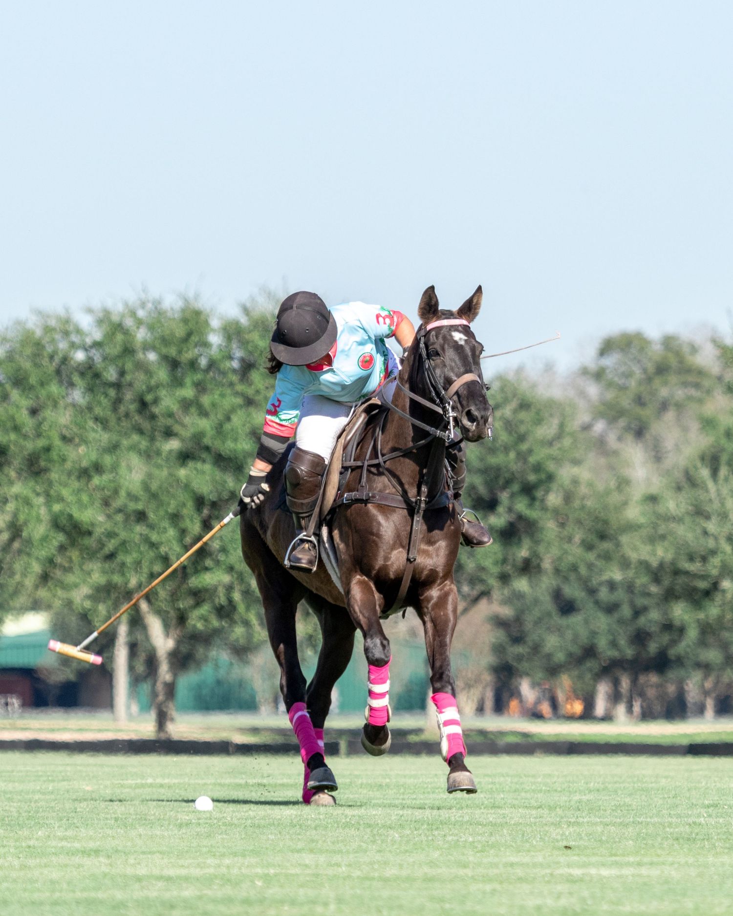 Polo