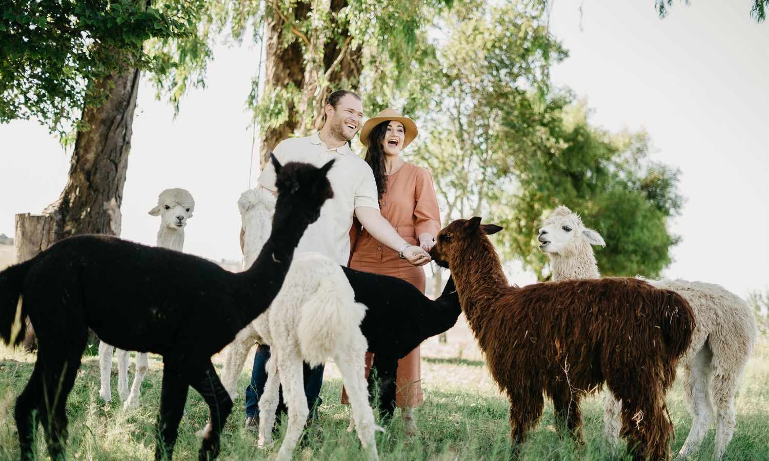 Couple enjoying the alpacas for their engagement shoot at Lewis Family Farm in South Africa