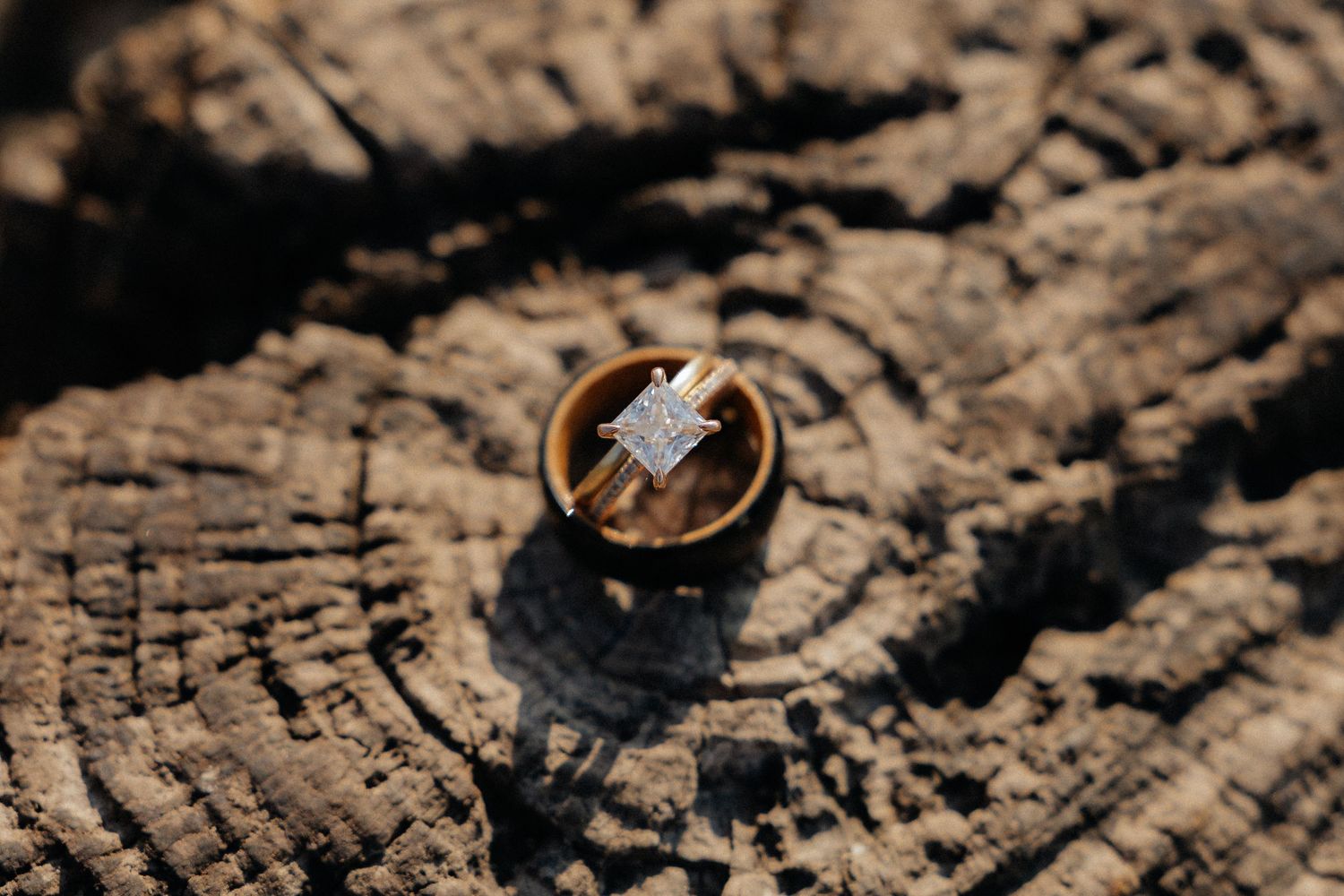 Wedding rings photographed on weathered wood texture with natural lighting.