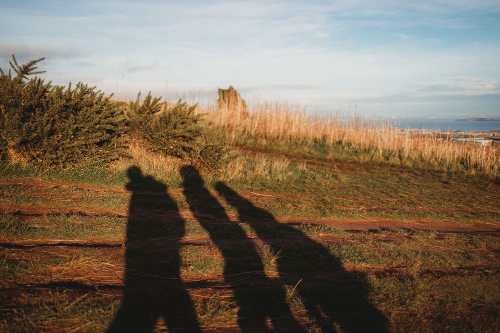 A series of silhouetted shadows cast on grassy terrain against a bright sky at sunset.