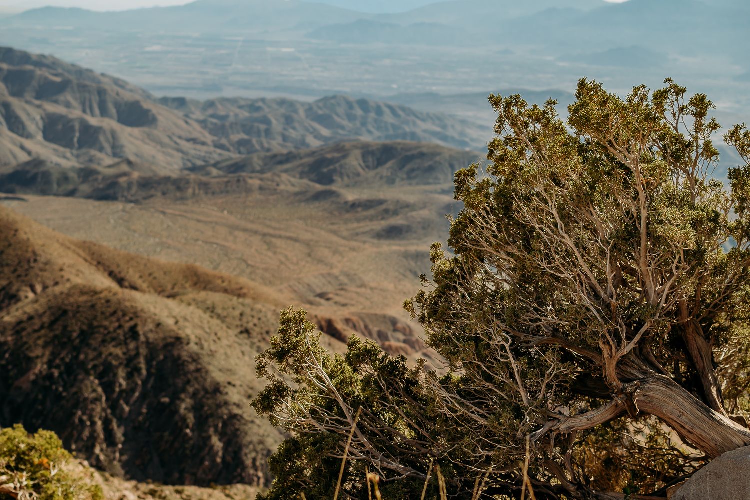 Panoramic view of rugged mountain ranges and valleys with scattered vegetation in a desert landscape under blue skies.
