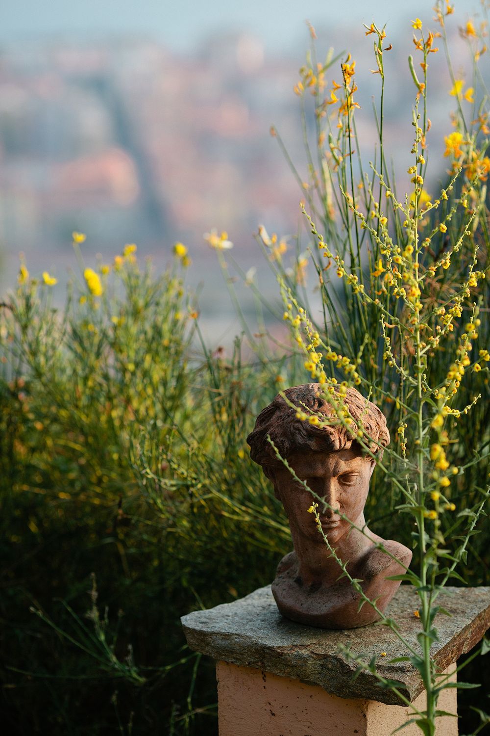 Mediterranean garden detail at a private villa wedding near Menton