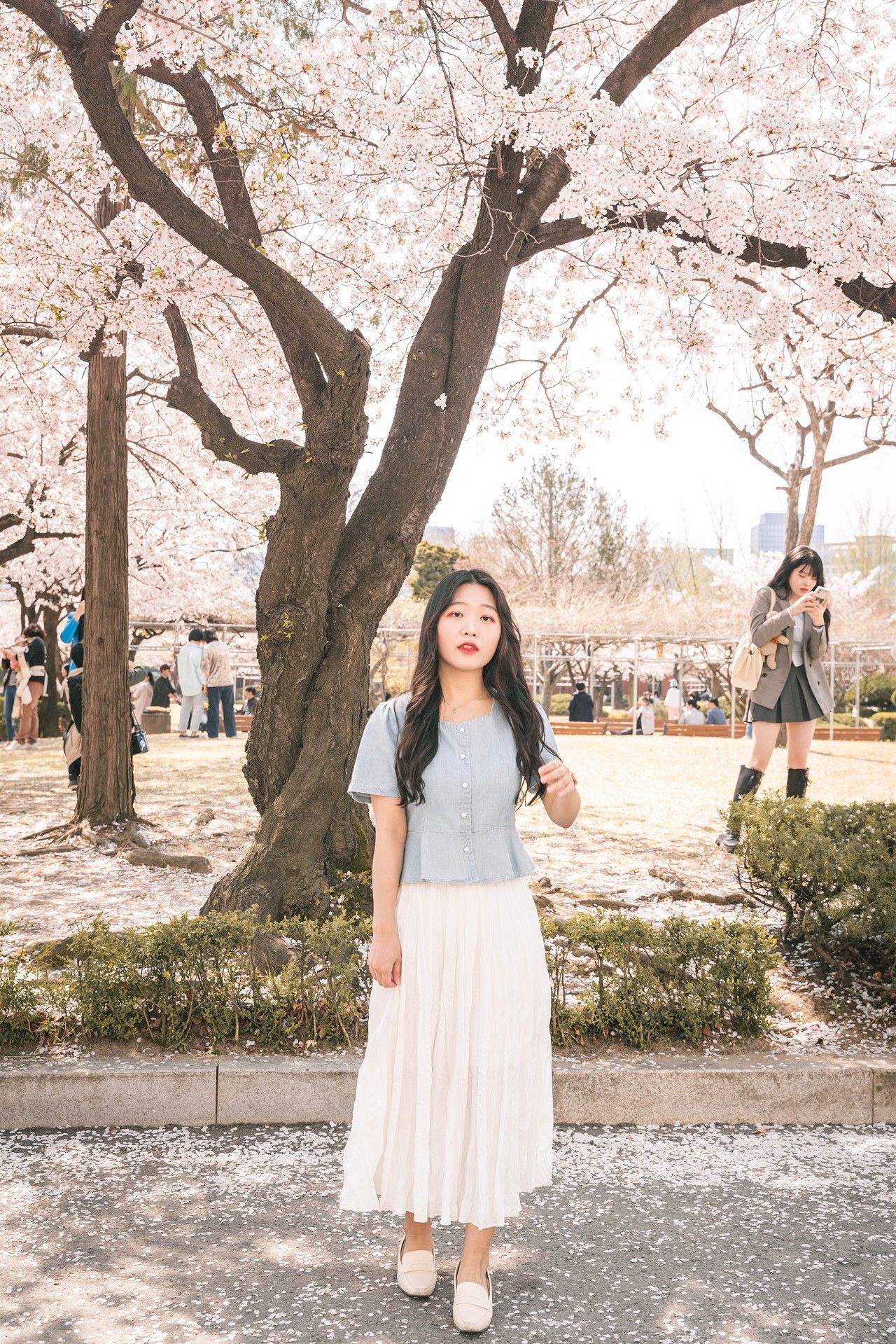 A woman poses under blooming cherry blossom trees in a park during spring, wearing a light-colored dress.