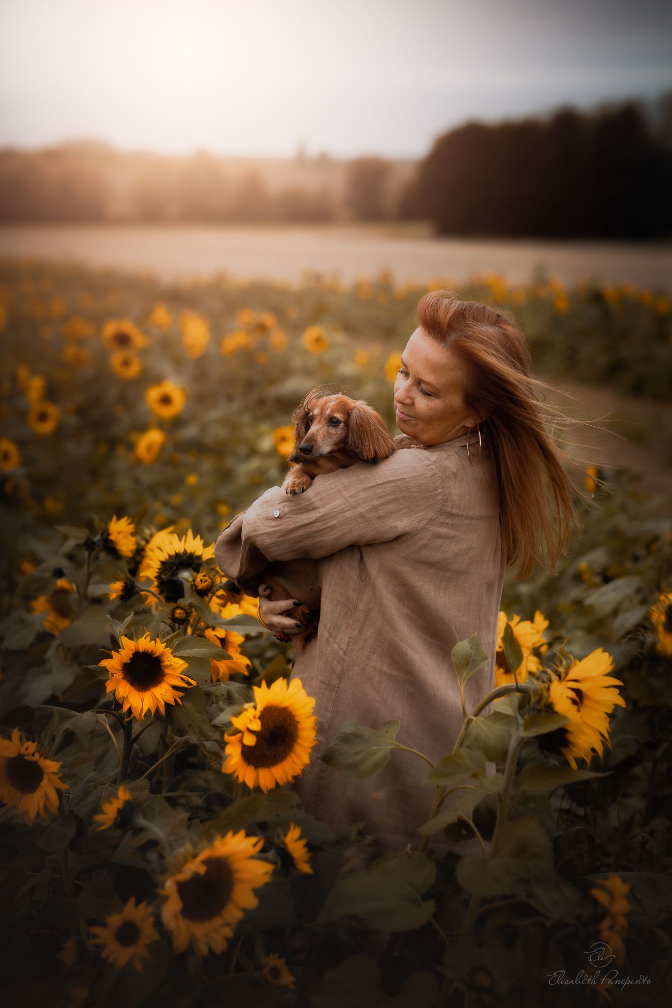 Photographe chiens Belgique