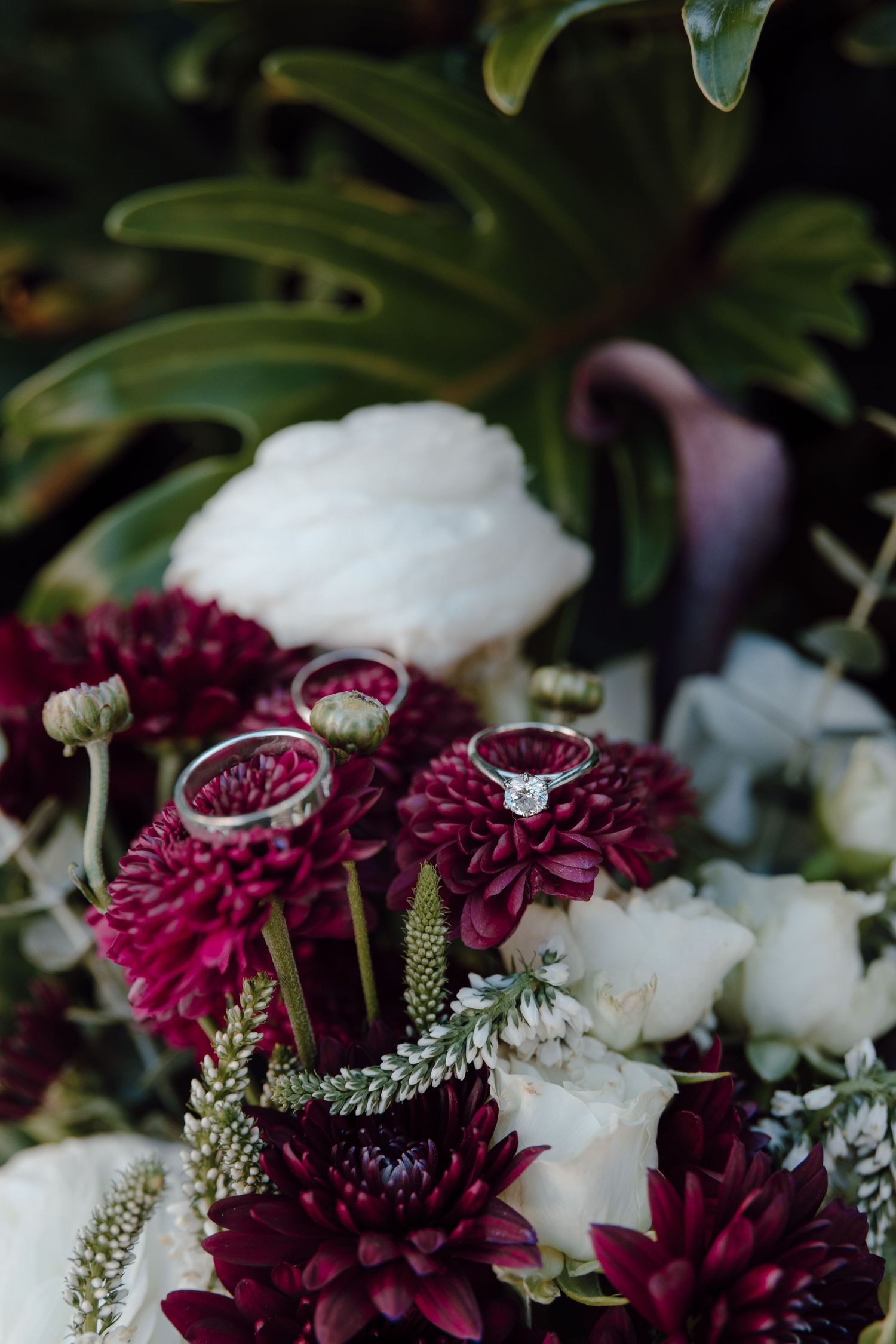 Wedding rings displayed on deep burgundy dahlias and white flowers in an elegant floral arrangement.