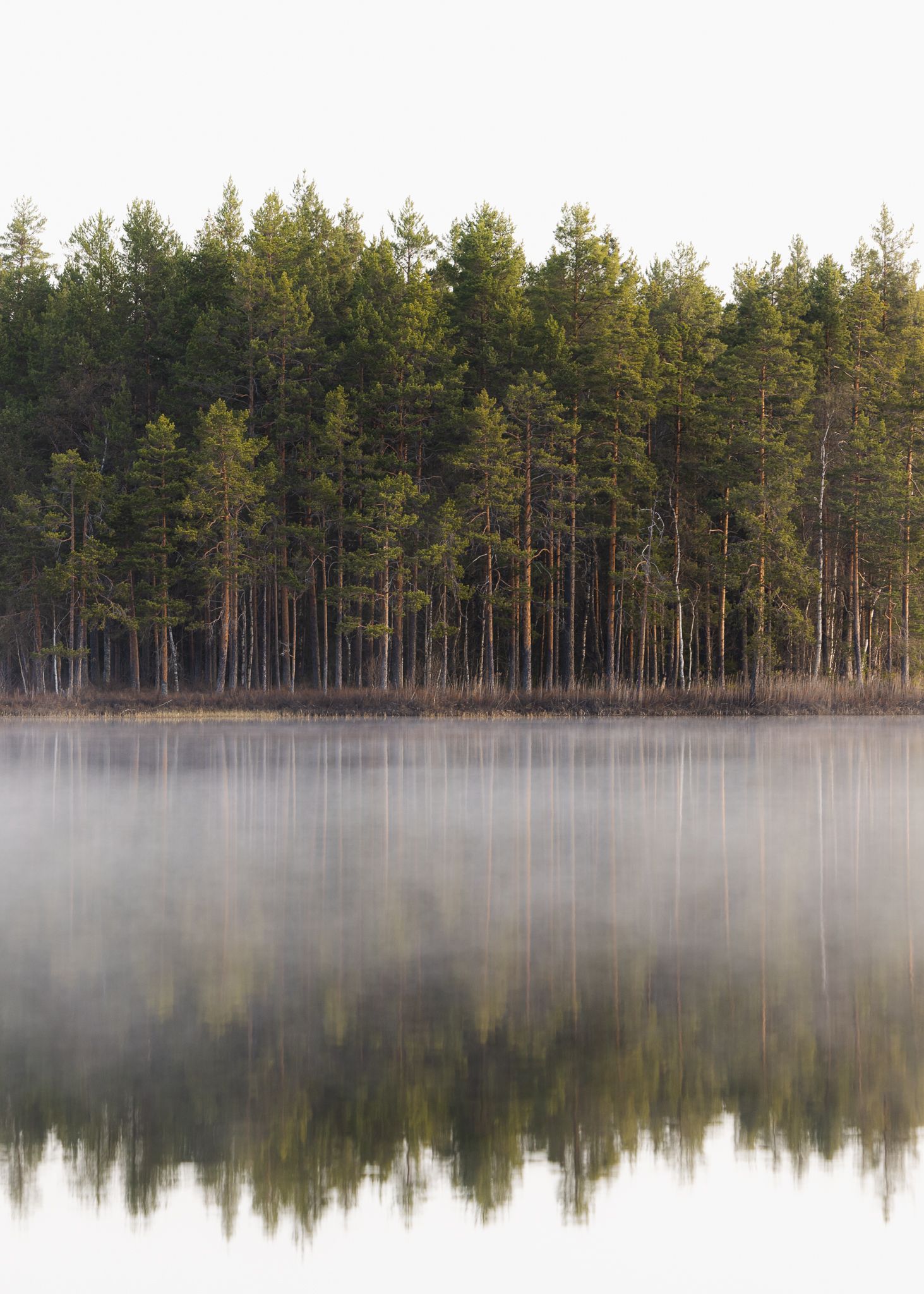 Naturfotograf, Leksand, Dalarna
