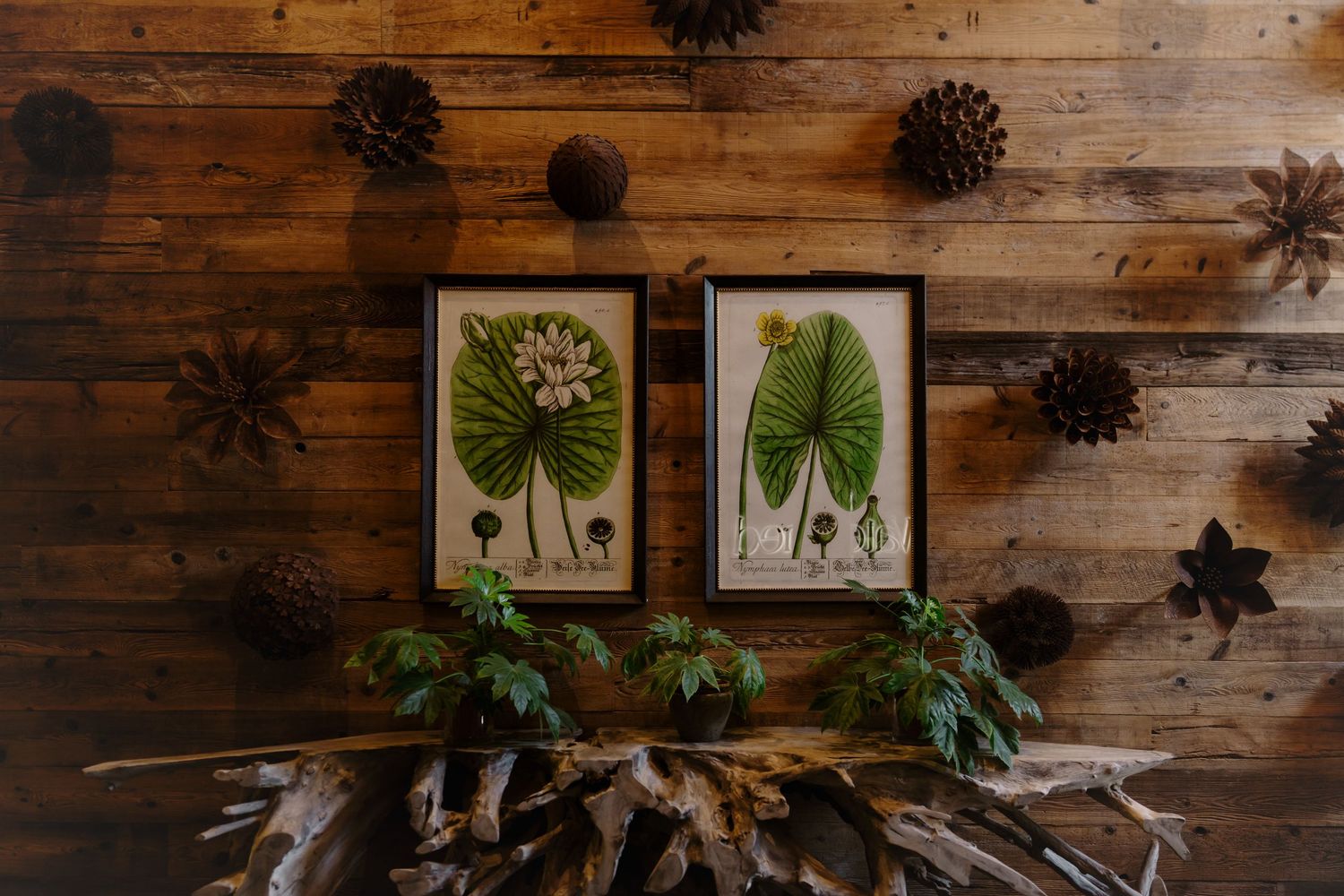 Rustic wooden wall decorated with black floral accents, framed botanical prints, and green palm leaves for home decor.
