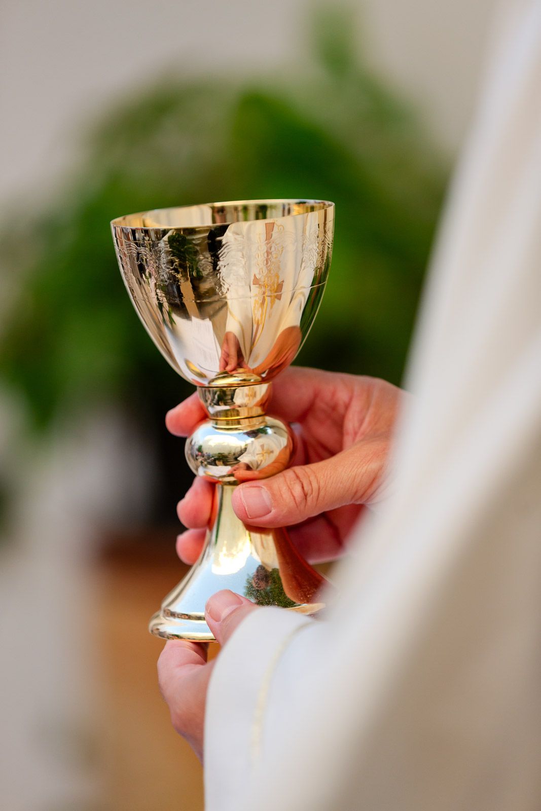 Hands holding a golden chalice or communion cup during a religious ceremony.