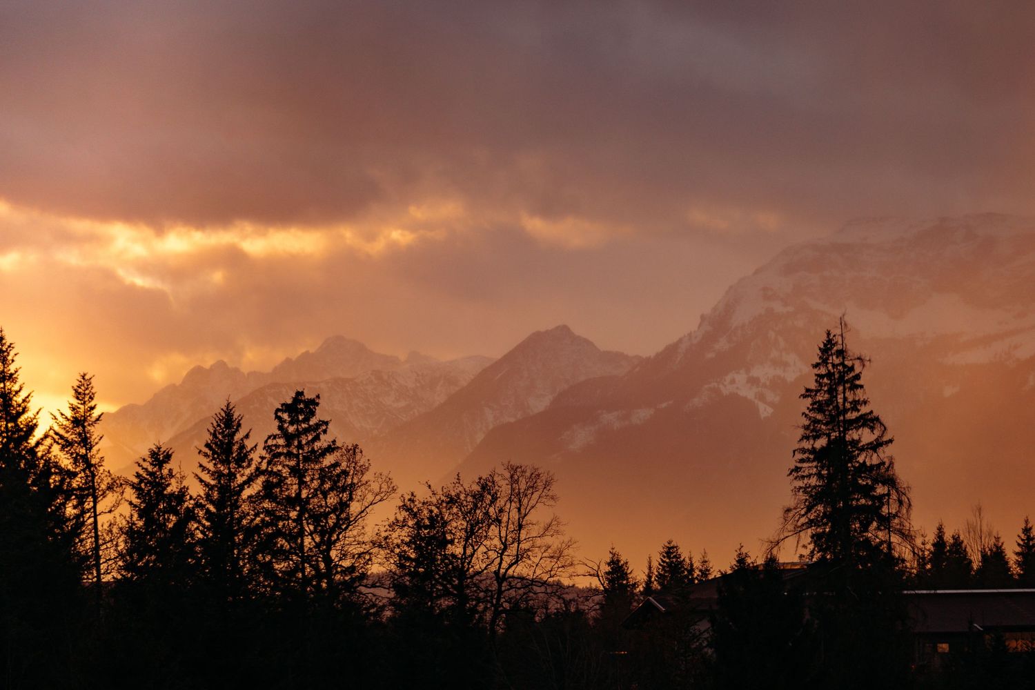 Dramatic sunset panorama over mountain peaks with silhouetted pine trees in the foreground.