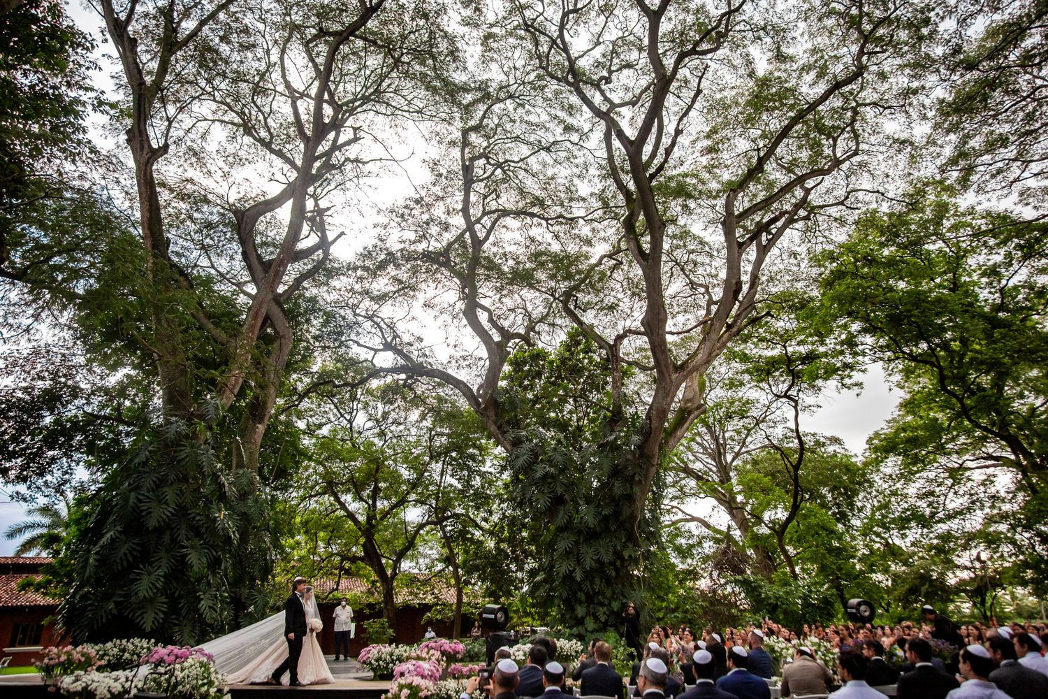 A couple shares a romantic moment under swaying palm trees at a tropical beach wedding ceremony.