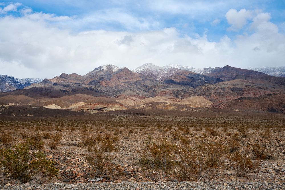 Desert landscape with snow-capped mountains in the distance and scattered brush in the foreground.