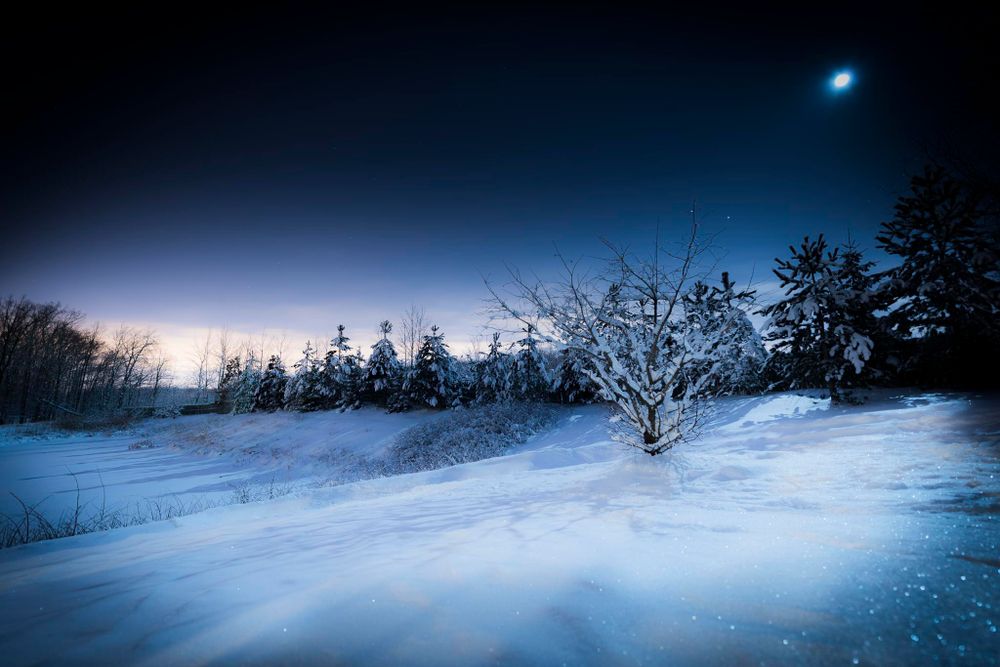 Snow-covered winter landscape with bare tree and glowing moon in dark sky.