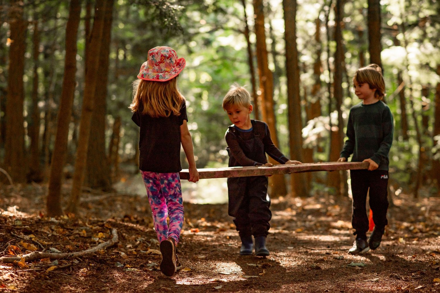 Three children explore a forest trail together while carrying a long wooden pole through sunlit woods.