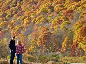 A couple admires the vibrant fall colors covering a mountainside during autumn.