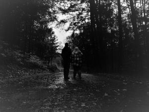 Silhouettes of figures walking along a wooded path at dusk.
