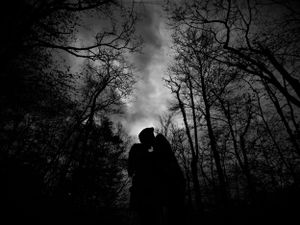 Moody black and white silhouette of trees against cloudy evening sky.