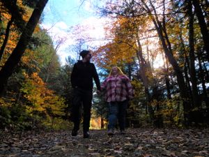 Golden sunlight filters through trees onto a leaf-strewn forest path.