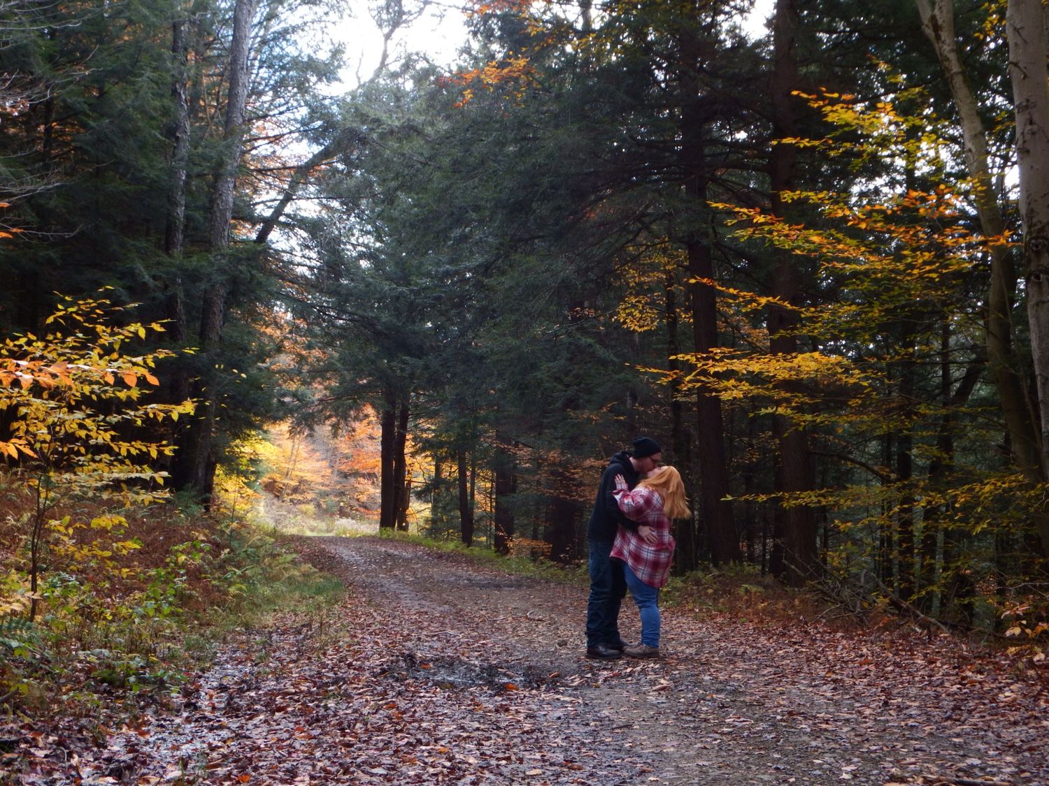 A scenic autumn forest path covered in fallen leaves with people in the distance.