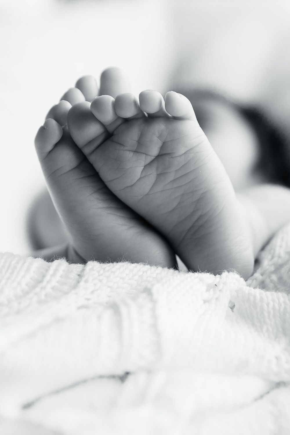 Tiny newborn baby feet rest on soft white knitted blanket in black and white photograph.
Altona Family Photographer Melbourne