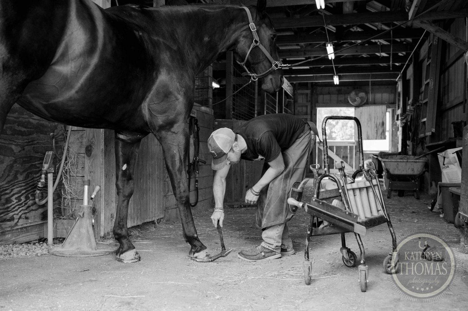 Black and white image of a farrier working on a horse's hoof in a stable.
