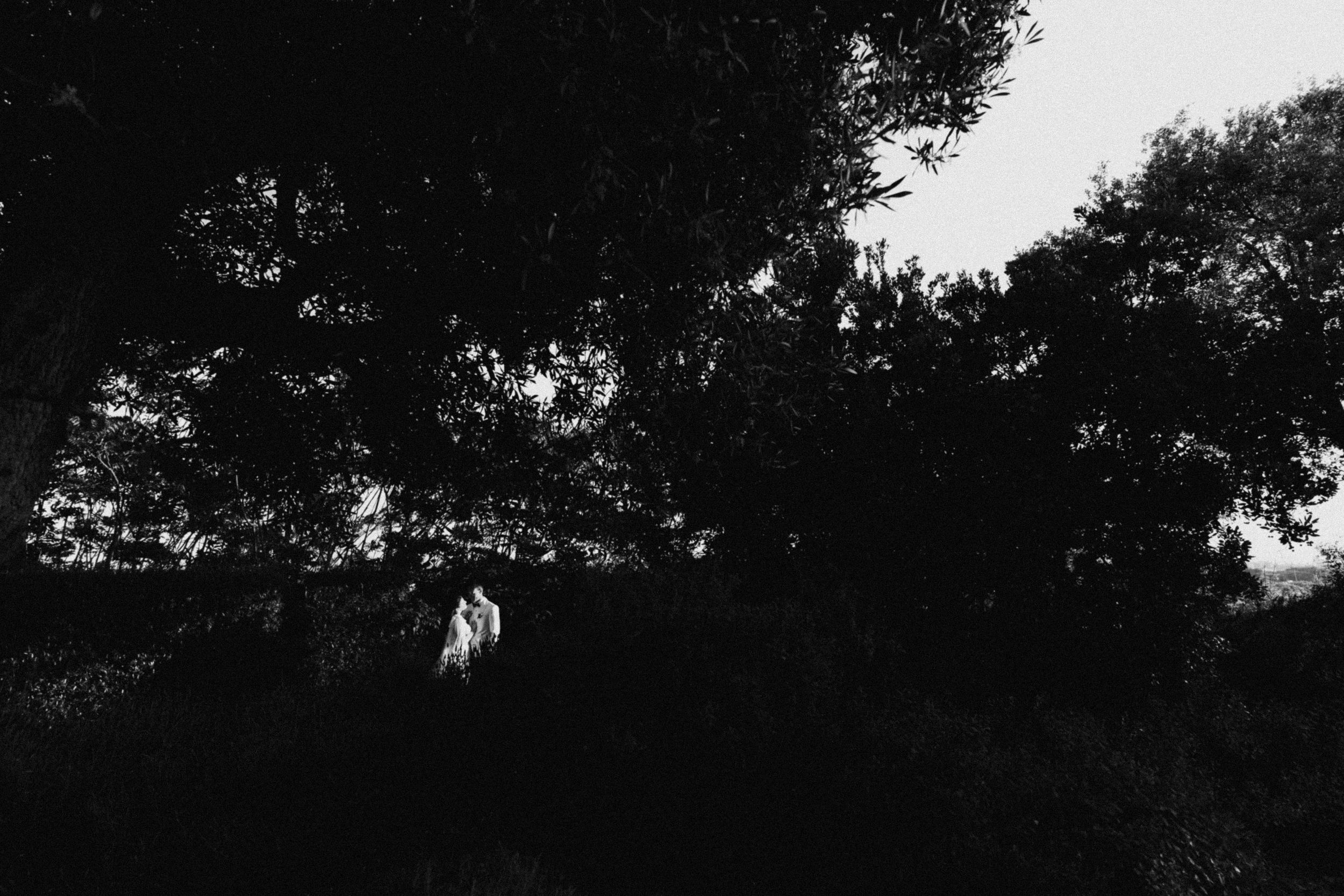 Black and white wedding photo of a couple standing among lush dark trees in a romantic forest setting.