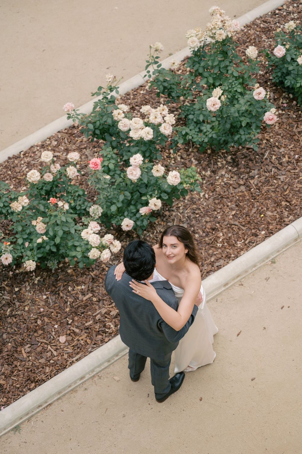 Aerial view of bride and groom embracing near blooming rose garden on their wedding day.