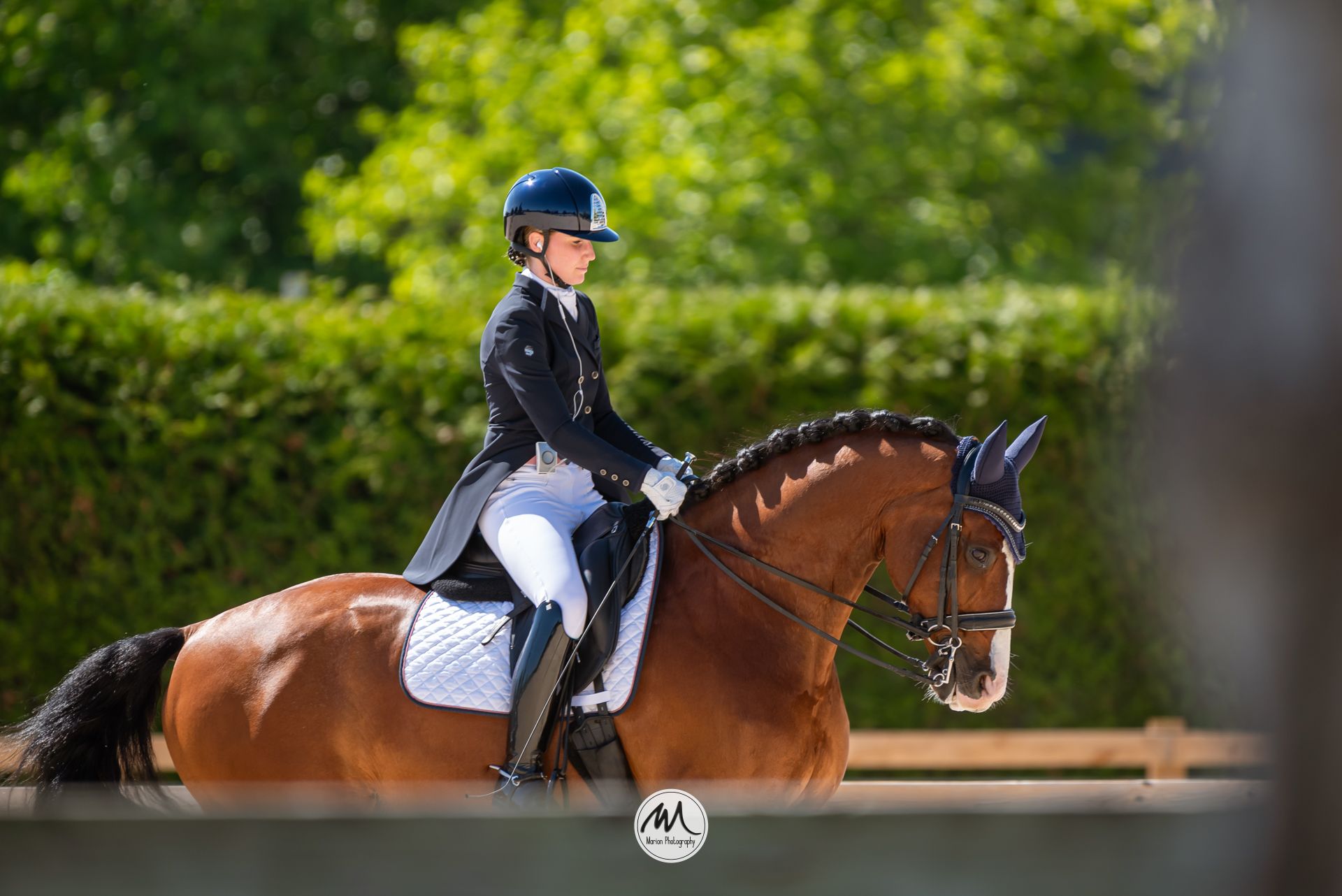 Female equestrian in black jacket riding a chestnut horse during a dressage competition in sunny outdoor arena.