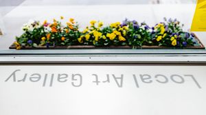 The shadow reflection of "Local Art Gallery" shining through the window onto a white table topped by an outside flower basket in Vermont.