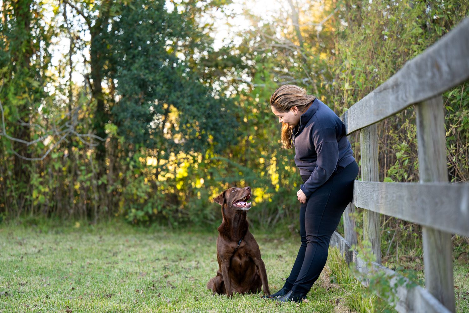 Emotional dog portrait Houston pet photographer Kelly J Russo Photography.