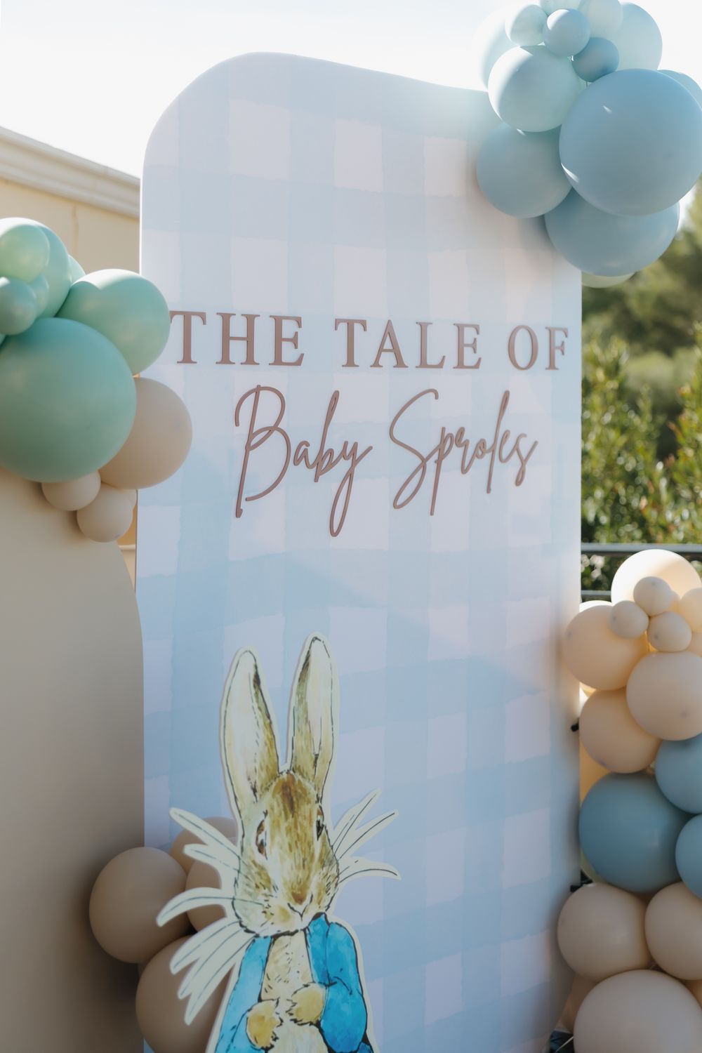 Peter Rabbit themed baby shower backdrop with blue gingham, balloons, and 'The Tale of Baby Sproles' signage.