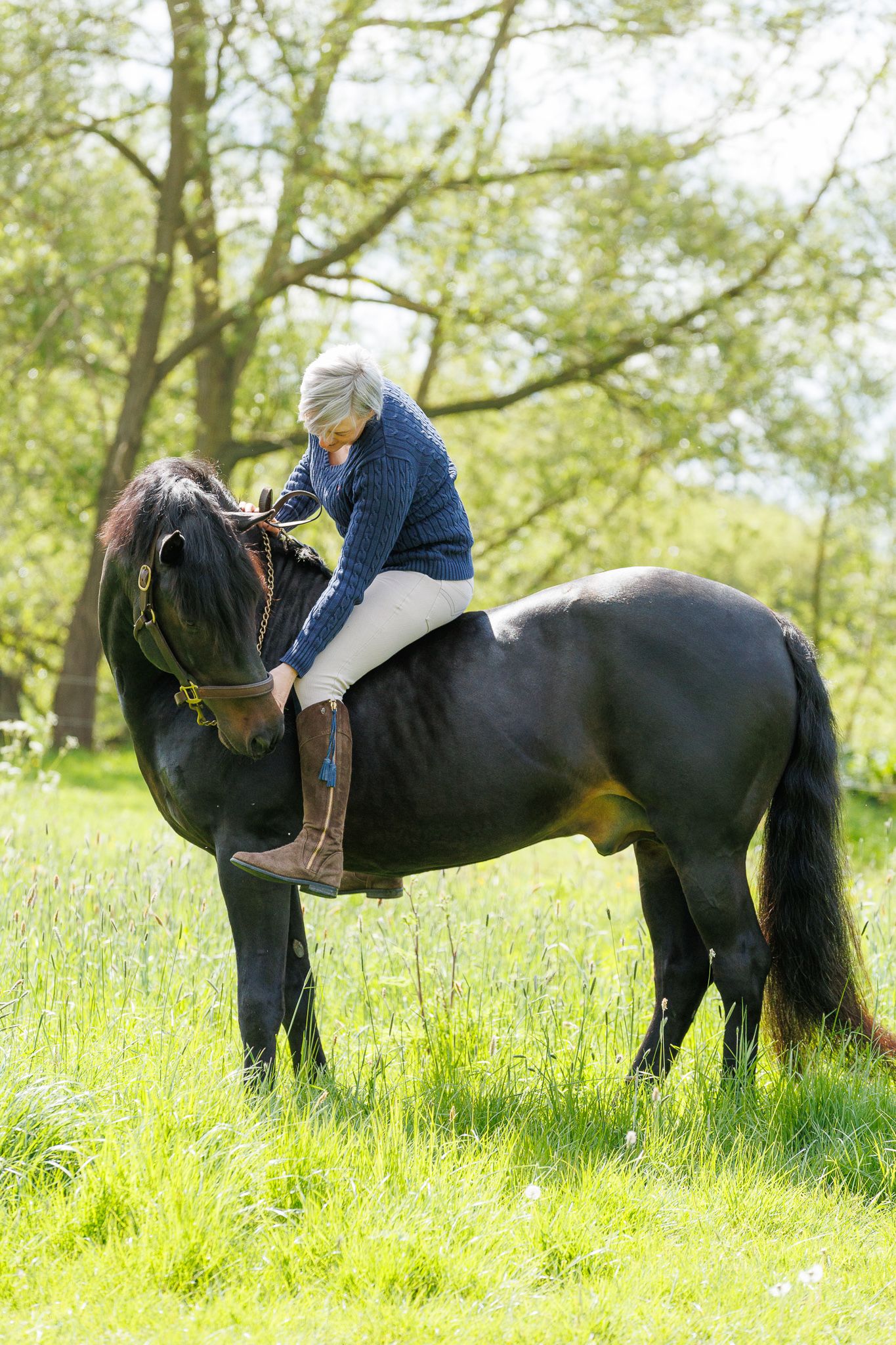 A series of photos showing a person in a white polka dot shirt with a black horse in a golden autumn field.